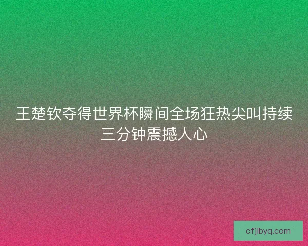 王楚钦夺得世界杯瞬间全场狂热尖叫持续三分钟震撼人心